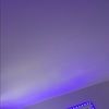 sofi_679